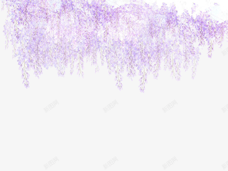 紫色花朵日式图案png免抠素材_新图网 https://ixintu.com 卡通花朵 日式花朵图案 植物花朵 花卉
