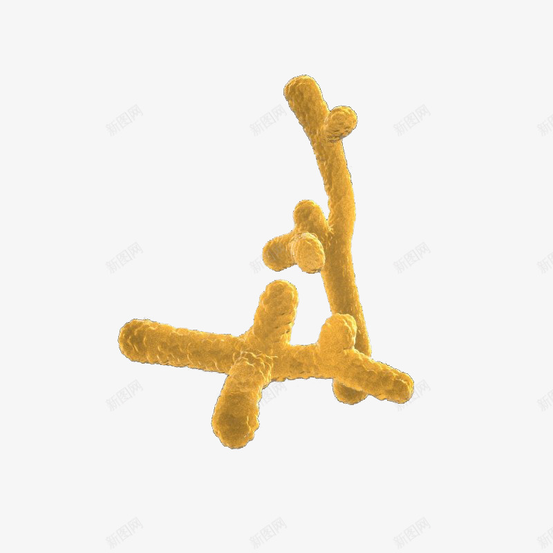 双歧杆菌png免抠素材_新图网 https://ixintu.com 手绘画 树枝 植物 装饰图 装饰画 黄色