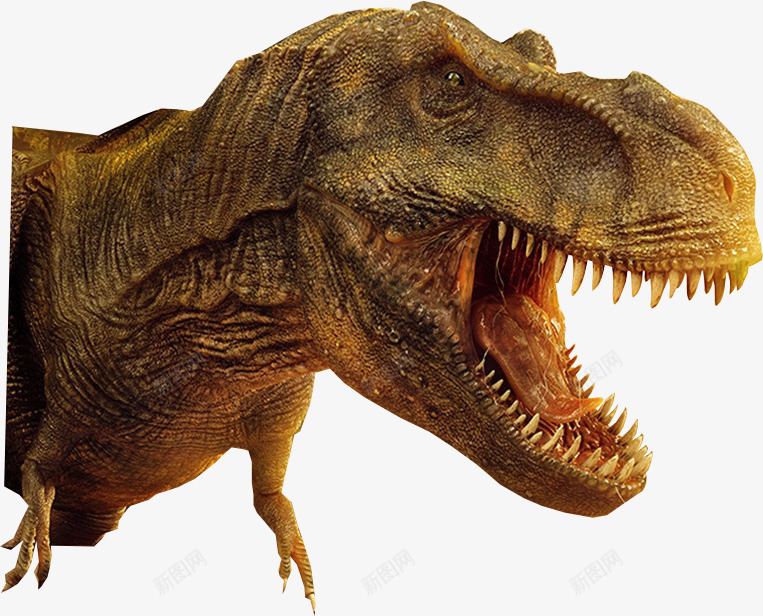 一只恐龙png免抠素材_新图网 https://ixintu.com png图形 png装饰 动物 恐怖 恐龙 装饰