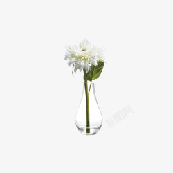 玻璃瓶欧美流行插花绿植物鲜花软装高清图片