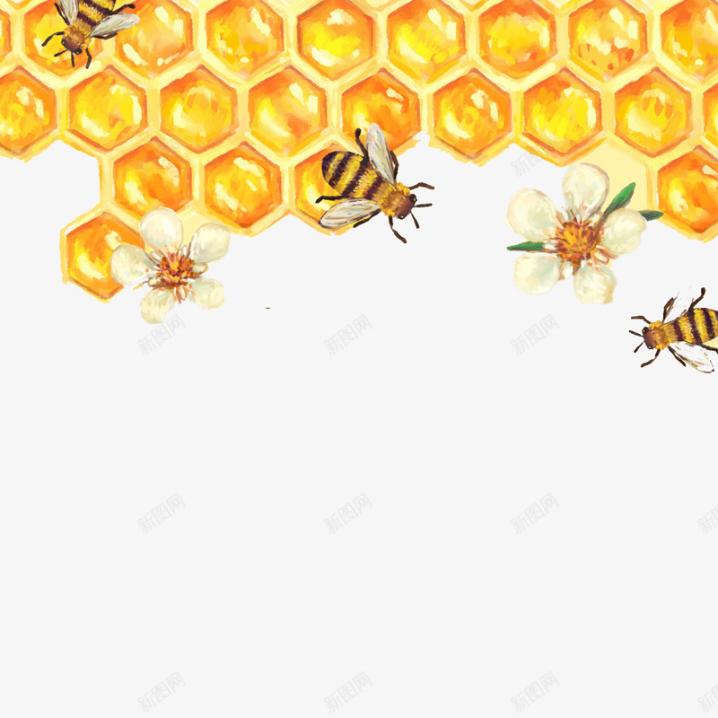 蜜蜂采蜜png免抠素材_新图网 https://ixintu.com 甜蜜 蜂蜜 蜜蜂 黄色