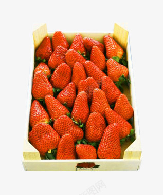 木盘里的草莓采摘图标图标