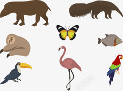 创意蝴蝶形状创意插画彩绘位图图形动物园动物矢量图高清图片