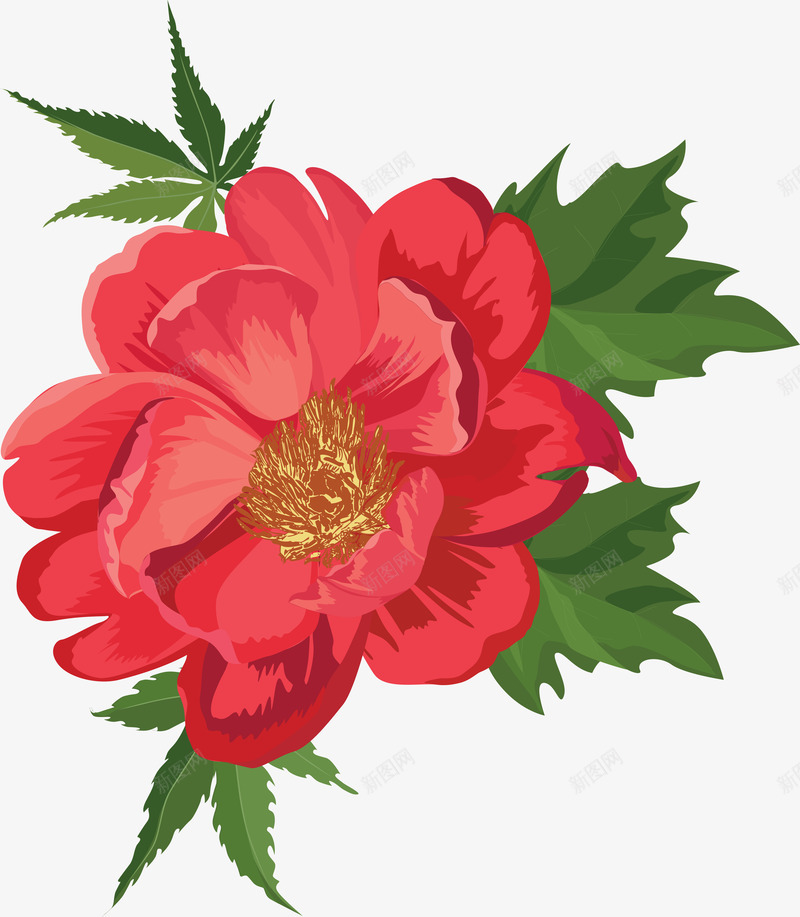 红色盛开的鲜花png免抠素材_新图网 https://ixintu.com 唯美 手绘 水彩 漂亮 花卉 花朵 装饰