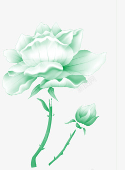 绿色唯美白色玫瑰花背景素材