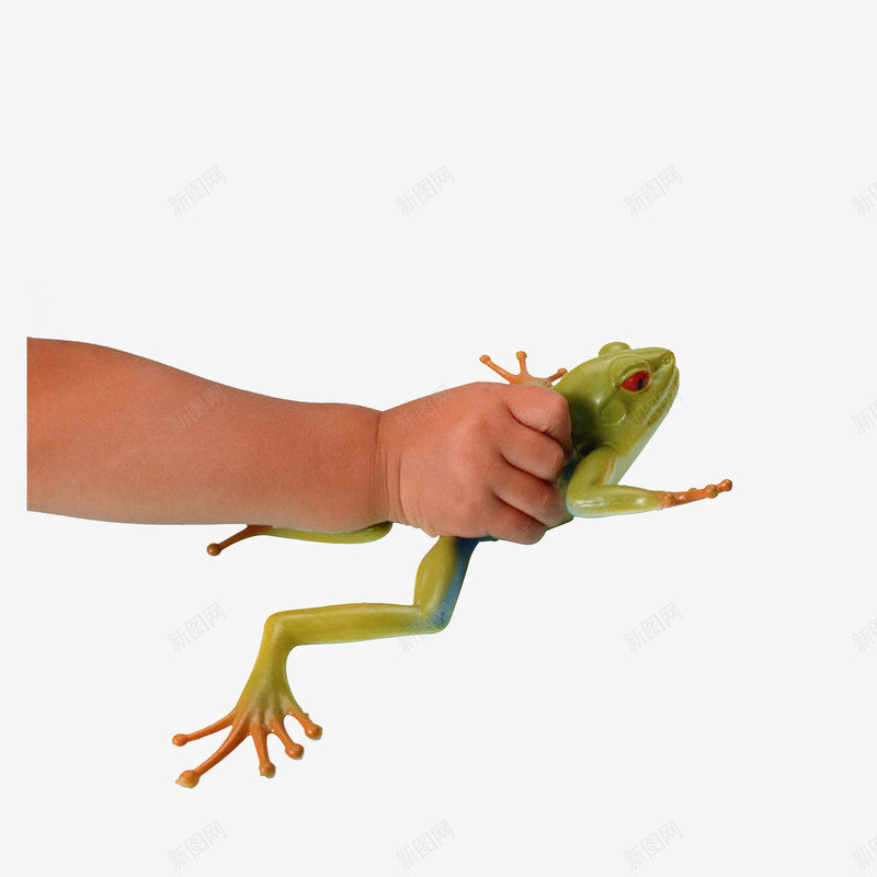 抓着青蛙的小手实物图png免抠素材_新图网 https://ixintu.com 实物图 小孩子的手 抓东西 抓着青蛙 效果图