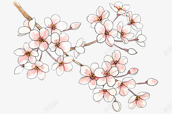 粉色的桃花png免抠素材_新图网 https://ixintu.com png图形 png装饰 手绘 树枝 桃花 花朵 装饰