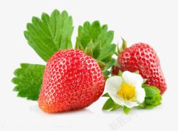 清新夏季新鲜草莓素材