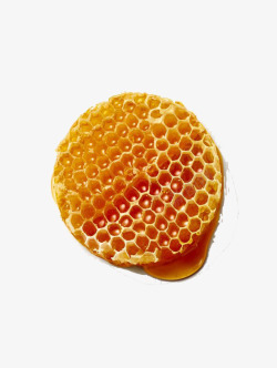 黄色的蜜蜂巢素材