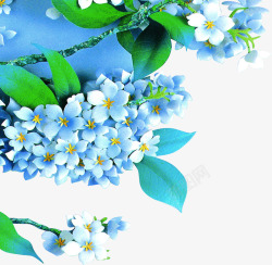 蓝色唯美花朵植物素材