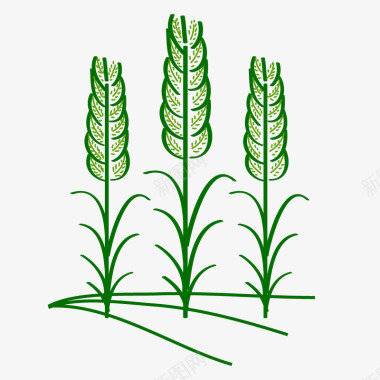 农业植物麦穗形图标矢量图图标