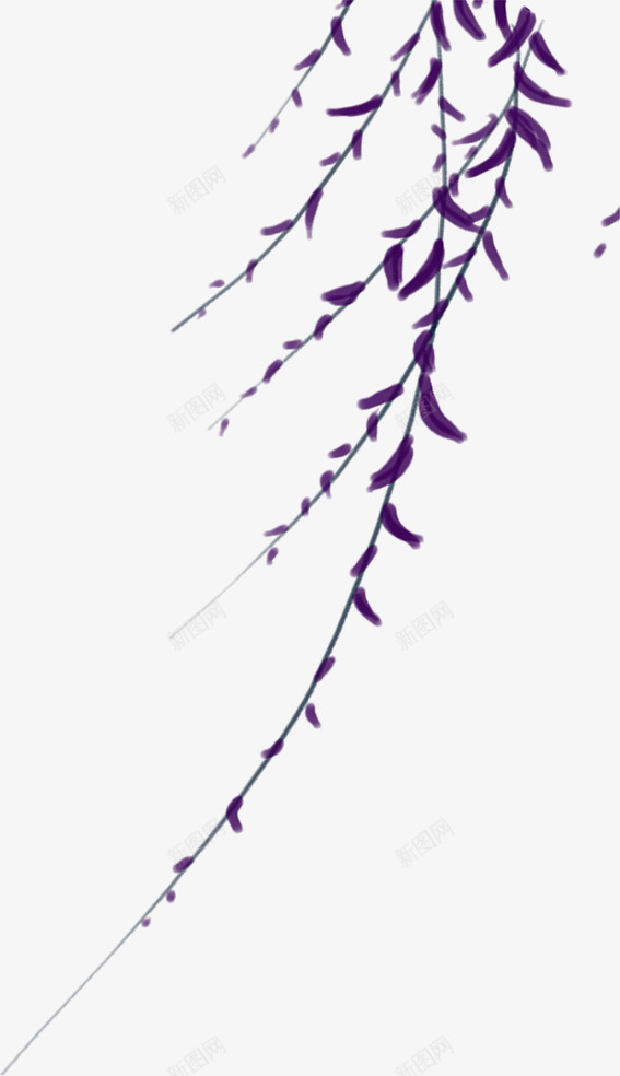 手绘的柳枝png免抠素材_新图网 https://ixintu.com png图形 png装饰 手绘 柳枝 植物 装饰