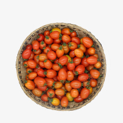 农家新鲜小西红柿素材