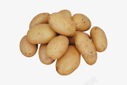 农作物照片土豆高清图片