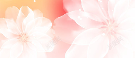 炫彩粉色花朵展架模板png_新图网 https://ixintu.com X展架设计 x展架 展架 海报素材 炫彩展架 炫彩粉色花朵
