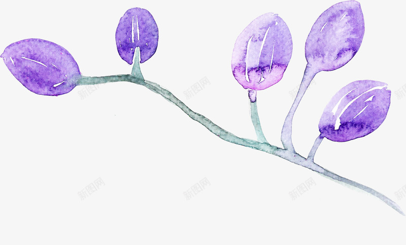 树枝上的紫色叶子png免抠素材_新图网 https://ixintu.com PNG图形 PNG装饰 叶子 手绘 紫色 装饰