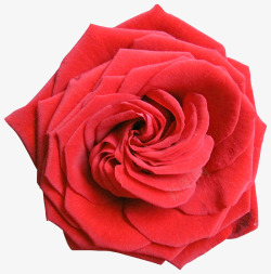 唯美鲜花边框红色玫瑰花素材