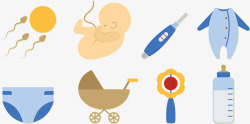早孕自测受精怀孕出生过程图矢量图高清图片