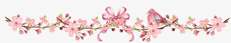 粉色的花朵png免抠素材_新图网 https://ixintu.com PNG图形 PNG装饰 分割线 小鸟 花朵 装饰
