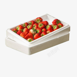包装好的草莓采摘素材