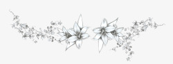 百合开花过程灰色花朵树叶高清图片