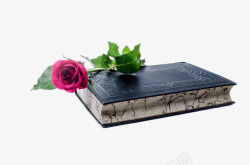 一本书的一本书和一朵花高清图片