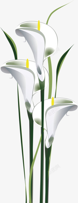 百合花束手绘立体百合花白色百合花矢量图高清图片