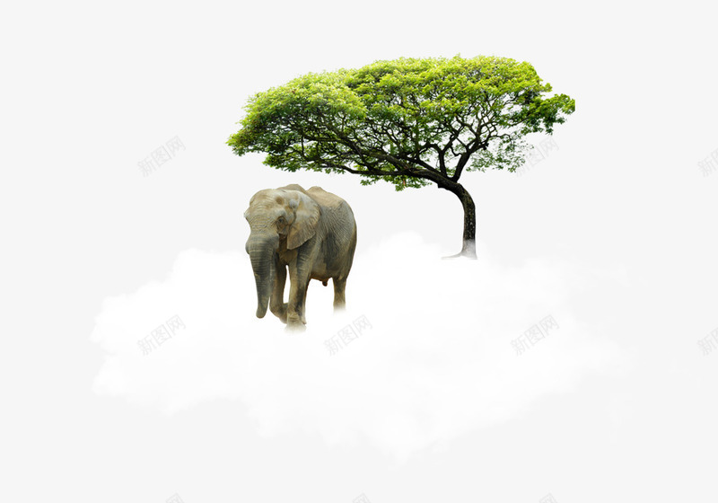 大自然动物png免抠素材_新图网 https://ixintu.com 动物 大自然 大象 植物