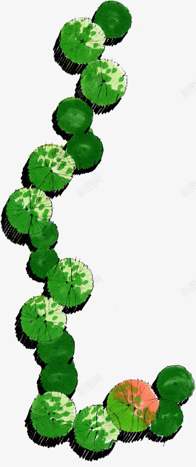 创意元素绿色植物不规则形状png免抠素材_新图网 https://ixintu.com 不规则 元素 创意 形状 绿色植物