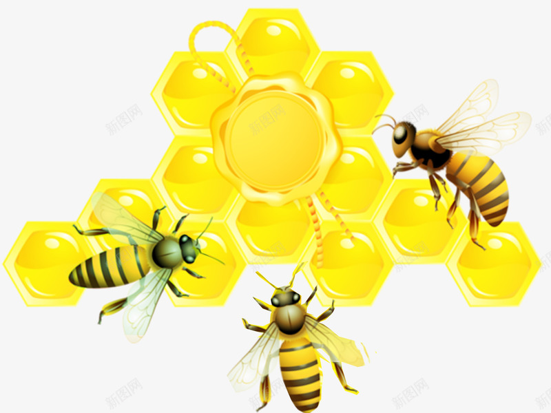 手绘蜜蜂和蜂王浆png免抠素材_新图网 https://ixintu.com 可爱的蜜蜂 手绘 蜂王浆 金色