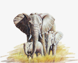 年轻的母亲油画油画大象一家高清图片