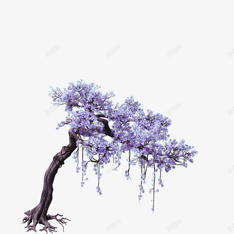 紫色花朵的树木png免抠素材_新图网 https://ixintu.com 卡通 开满 手绘 树干 树木 树根 简图 紫色的 花朵