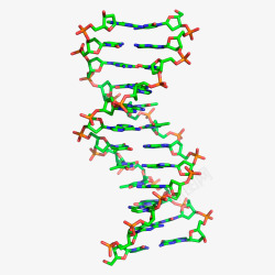 生物学分子多彩插画双螺旋3D立体插画高清图片