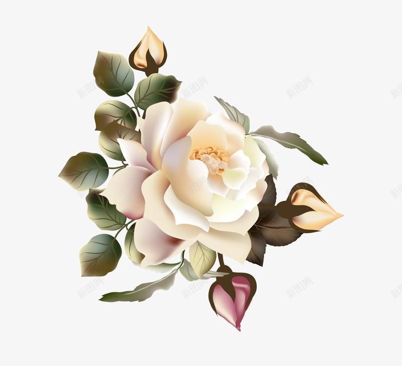 手绘水粉花卉png免抠素材_新图网 https://ixintu.com 手绘 水粉 花卉