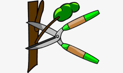 卡通修剪树枝的灰绿色剪刀素材