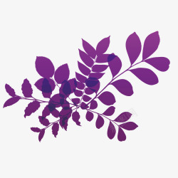 紫色草叶花草素材