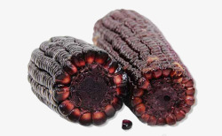 特色紫玉米黑色玉米棒高清图片