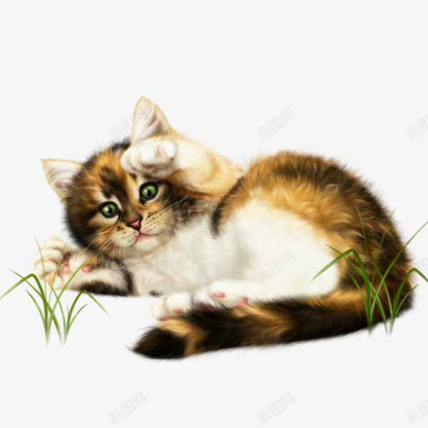一只猫咪png免抠素材_新图网 https://ixintu.com 可爱 尾巴 手绘 灰色的 猫咪 眼睛 简图 耳朵 躺着