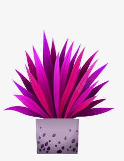 炫彩紫色盆栽植物素材