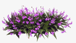 紫色花卉花丛装饰图案素材