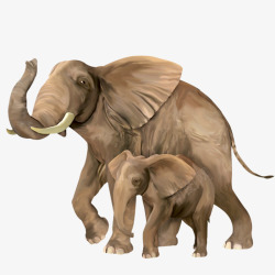 大象妈妈手绘大象母子俩高清图片