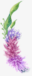 紫色薰衣草装饰png免抠素材_新图网 https://ixintu.com 紫色 装饰