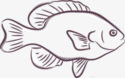 素描小鱼可爱白色小鱼高清图片