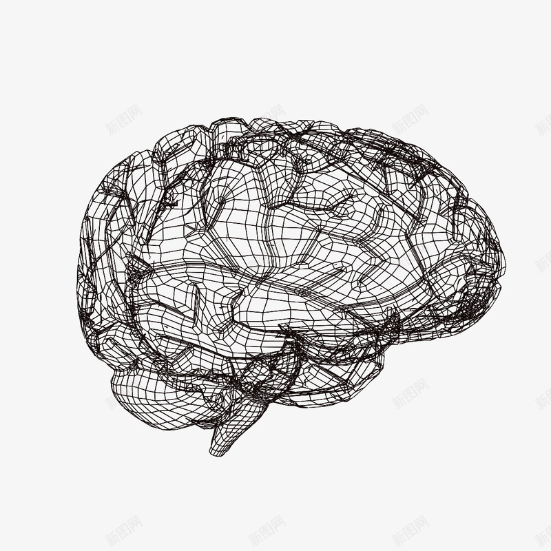 3D模型风格大脑png免抠素材_新图网 https://ixintu.com 3D模型风格大脑 人脑 其他生物 生物世界