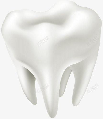 3D牙齿的效果png免抠素材_新图网 https://ixintu.com 3D 健康 医疗 牙医 牙齿