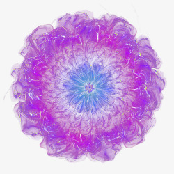 花朵高贵梦幻紫花绽开的花朵顶视图高清图片