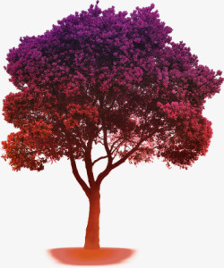 紫色树木浪漫恋人素材