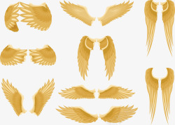 集合创意金色翅膀集合高清图片