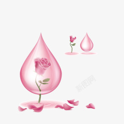 在粉色水滴中的玫瑰花素材