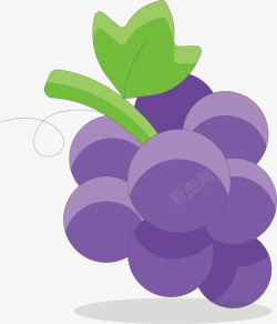 紫色的提子紫色葡萄卡通插画矢量图高清图片